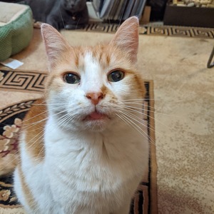 Maria Elena DiPietro